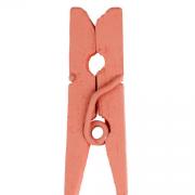 Mini pince corail, 2.5cm (x24) REF/2691