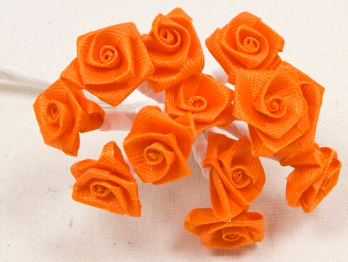Mini rose orange