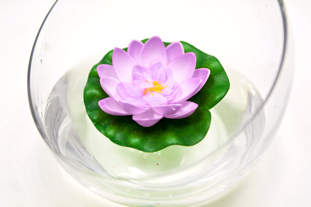 Nenuphar flottant parme