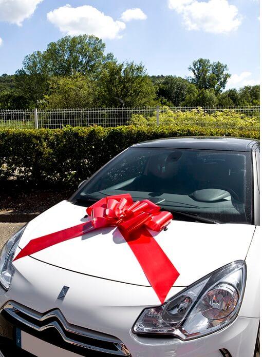 CarBowz Grand nœud cadeau de voiture, nœud géant à suspendre verticalement  pour portes et grands cadeaux, nœud de fête de Noël, nœud surprise  d'anniversaire (blanc avec crochet de porte) : : Santé