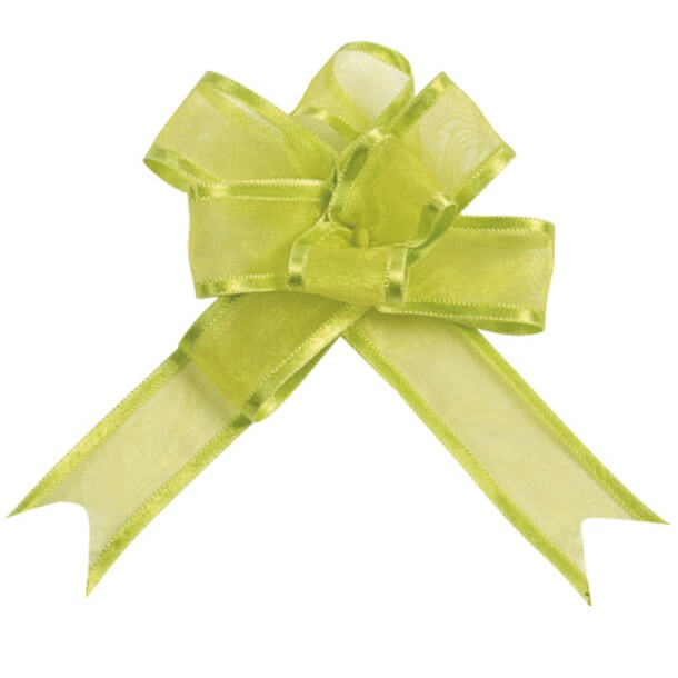 Noeud a tirer automatique organdi vert