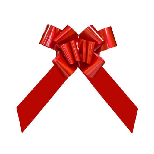 Zoe Deco Grand nœud de voiture (rouge, 58 cm), nœud géant pour voiture, nœud  d'anniversaire, grand nœud rouge, nœud pour cadeaux, nœuds de Noël pour  voitures, emballage cadeau, grand nœud cadeau 
