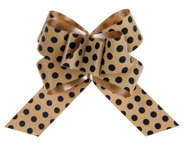 Noeud automatique kraft pois noir