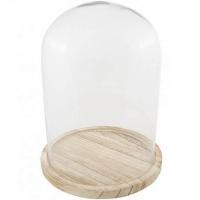 Nord pas de calais prestation de nettoyage cloche elegante