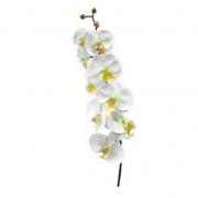 Orchidée blanche 9 fleurs, 85cm (x1) REF/FTG2008