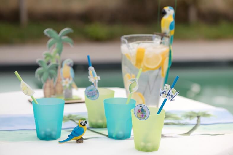 Paille des tropiques