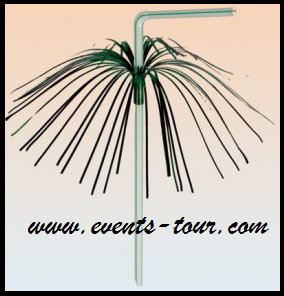 paille-plastique-palmier-feux-d-artifice.png