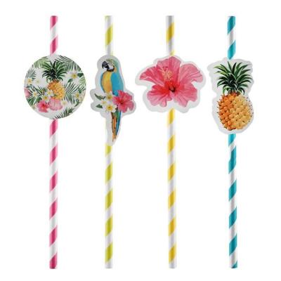 Paille tropical (x8) REF/5761