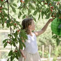 Panier a petale mariage