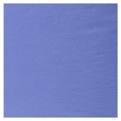 Papier crépon bleu ciel 48g - 0.5cm x 2.5m (x1) REF/400055522