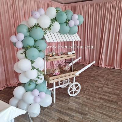 Pes 369 decoration guirlande organique en ballon location chariot candy bar