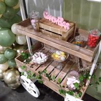 Pes 369 decoration guirlandes organiques en ballons location chariot candy bar