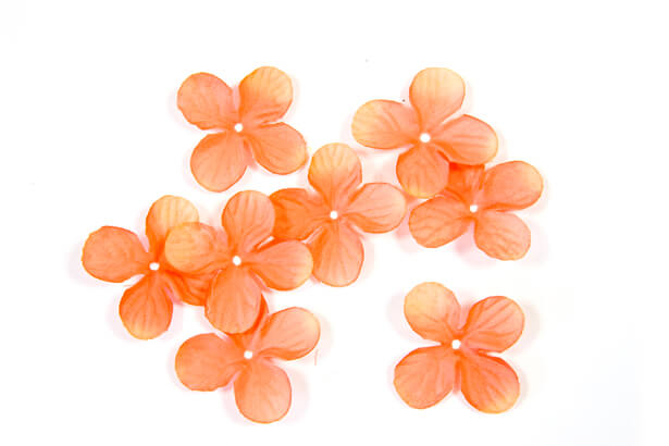 Petale de fleur orange