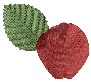 Petale de rose bordeaux