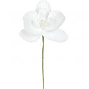 Orchidée blanche (x6) REF/2867