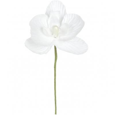 Orchidée blanche (x6) REF/2867