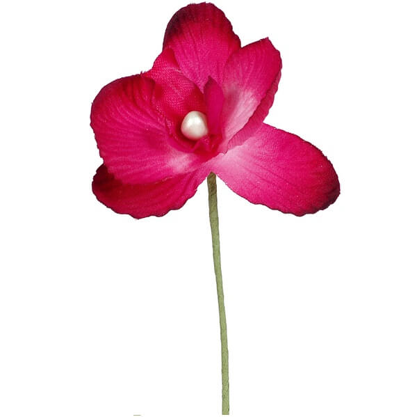 Petite branche d orchidee fuchsia