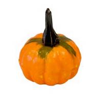 Petite citrouille orange halloween