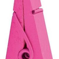 Pince fuchsia 1