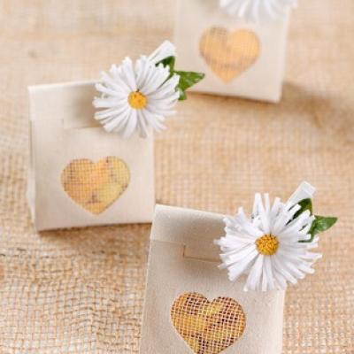 Pince marguerite 1