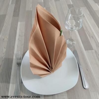Pliage de serviette feuillage champetre naturel