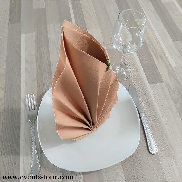 Les astuces pour plier une serviette de table ? Blog BUT