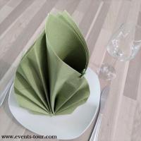 Pliage de serviette feuillage champetre vert olive sauge