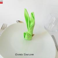 Pliage de serviette lapin vert pomme