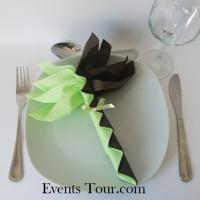 Pliage de serviette palmier vert et chocolat 1