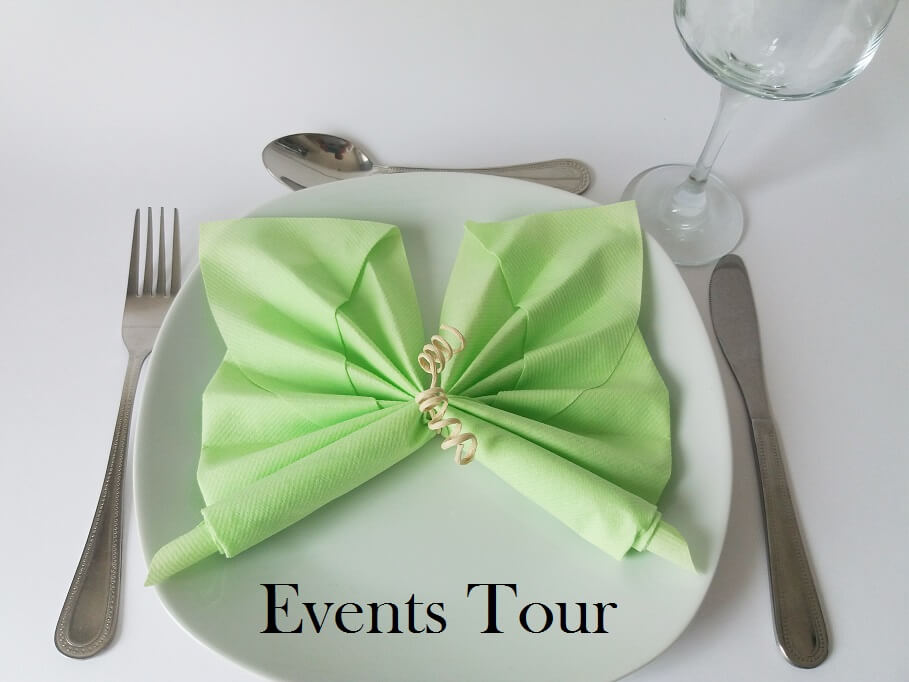 Pliage de serviette papillon vert