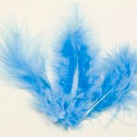 Plume bleu ciel 1