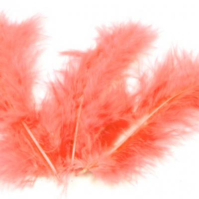 Plume corail