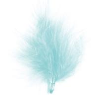 Plume decorative bleu ciel 1