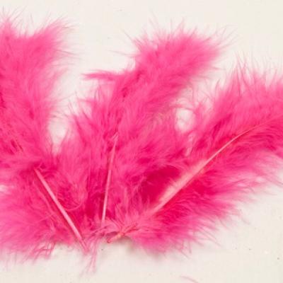 Plume fuchsia 2