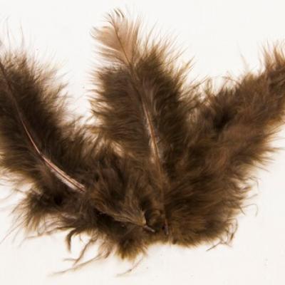 Plume marron
