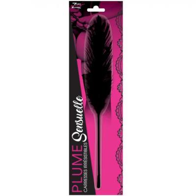 Plume sensuelle noire