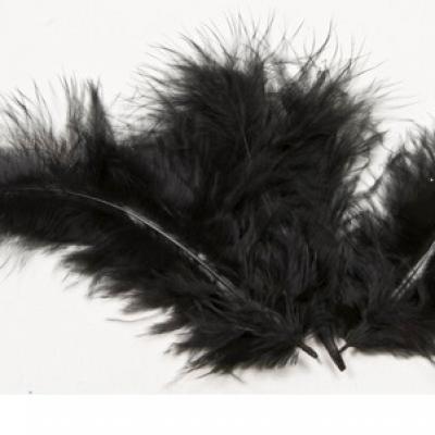 Plume noire