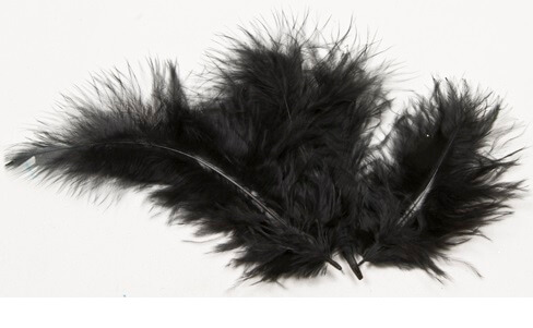 Plume noire