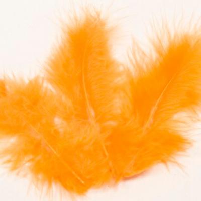 Plume orange 1