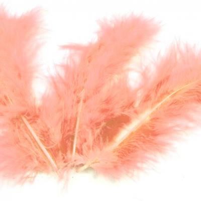 Plume peche