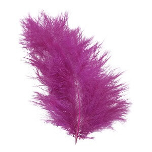 Plume prune 1