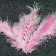 Plume rose (x20) REF/DEC352