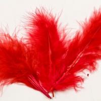 Plume rouge 1