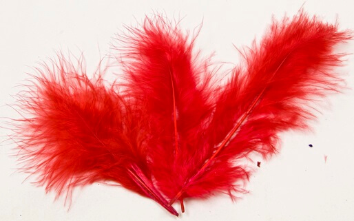 Plume rouge 1
