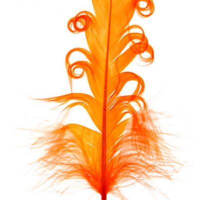 Plume tortillons orange (x6) REF/3884