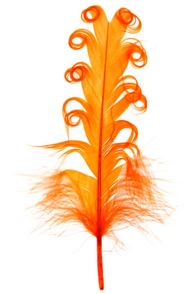 Plume tortillons orange