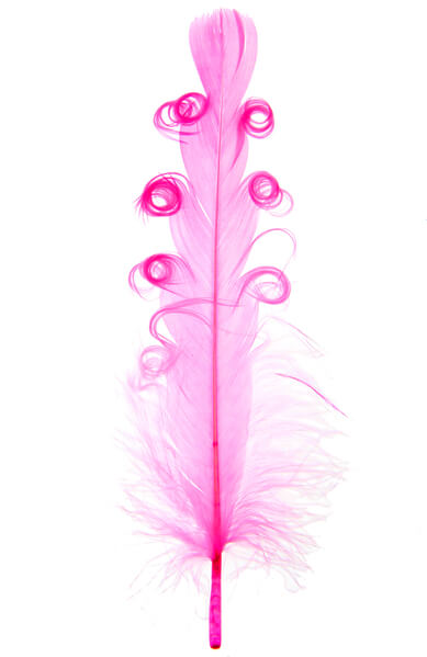 Plume tortillons rose