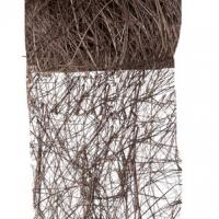 Ruban abaca chocolat 1