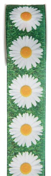 Ruban marguerite