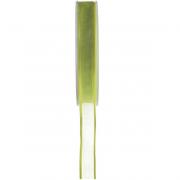 Ruban organdi vert bord satin 12mm x 20m (x1) REF/2723